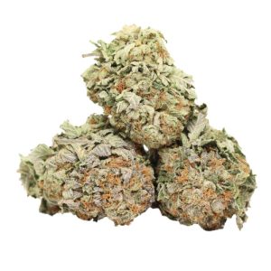 94 Monkey AAAA+ Indica