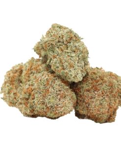 9 Pound Hammer AAAA+ Indica