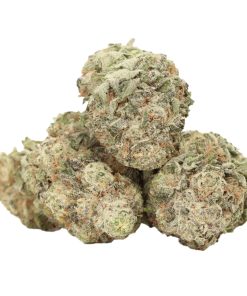 Ace Killer OG AAAA+ Indica