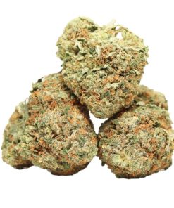 Gorilla Glue Strain