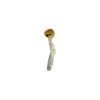 Amazonian Cubensis