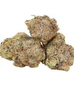Marathon OG Cannabis Strain