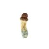 Blue Pulaski Mushroom