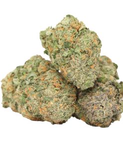 Candyland Kush
