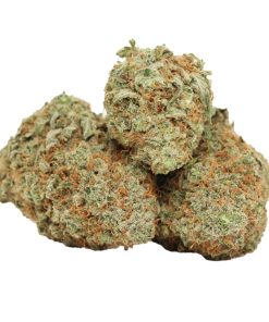 Casey Jones Weed Strain