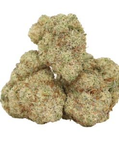 Chemo Kush AAAA+