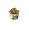 Dido Eggs Magic Mushroom