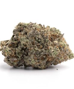 GMO (Garlic cookies)