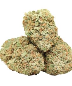 El Chapo Kush