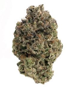Gas Mask (AAA)