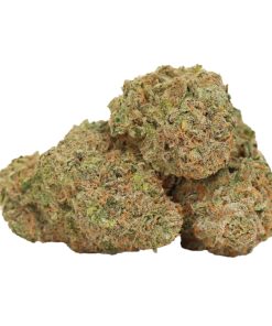 Girl Scout Cookies strain