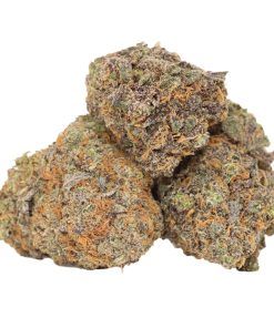 Hawaiian Runtz Strain