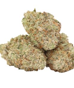 Blue Dream Strain