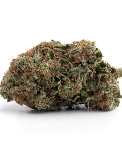 Ice cream cake (AAA+)