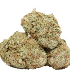 Lemon Strain