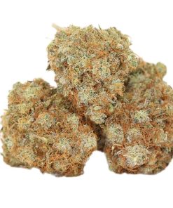 Lemon Skunk kush