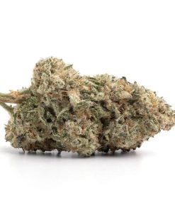 White widow