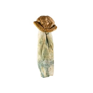 Makilla Gorilla Mushroom
