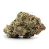 Jack Herer Strain