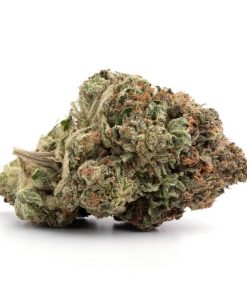 Jack Herer Strain