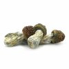 Penis Envy Magic Mushrooms 