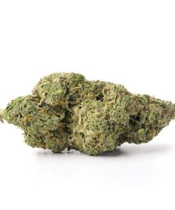 Green Crack Strain