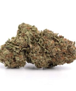 Dosidos strain