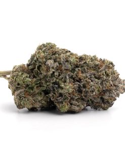 Blue Cheese Strain