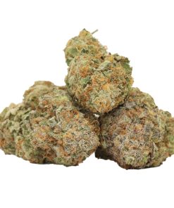 Shop Red Congolese Strain