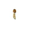 Vietnamese Cubensis Mushroom