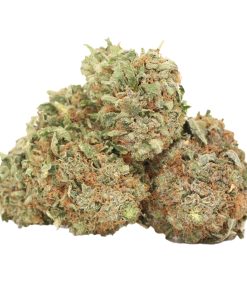 White Fire OG Strain