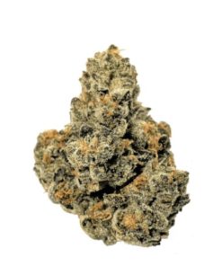 Bubbly Boof Flower