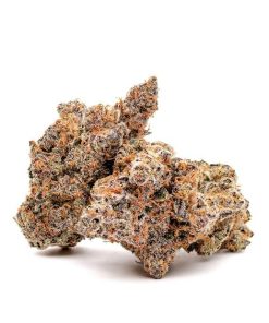 Flight Plan 3.5g PP