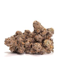 Grape Gas Smalls by Kai