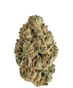 Kiwi Sours Flower