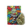 Plan Z 14g PP by Peninsula Gardens