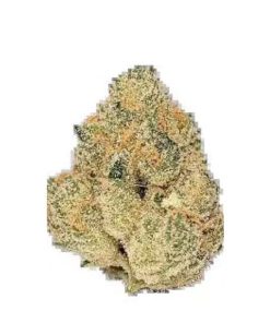 Snowcone #6 Flower by Ripe Herb