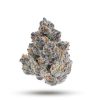 Superboof Flower
